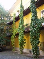 Pawlatschengänge - 2003