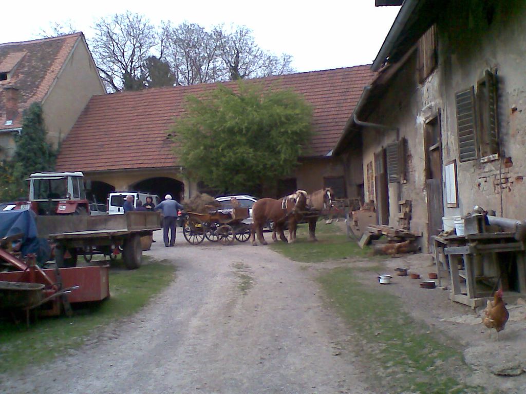 Datei:St.-Veiter-Straße 86, Pfarrhof, Wirtschaftsgebäude 3.jpg