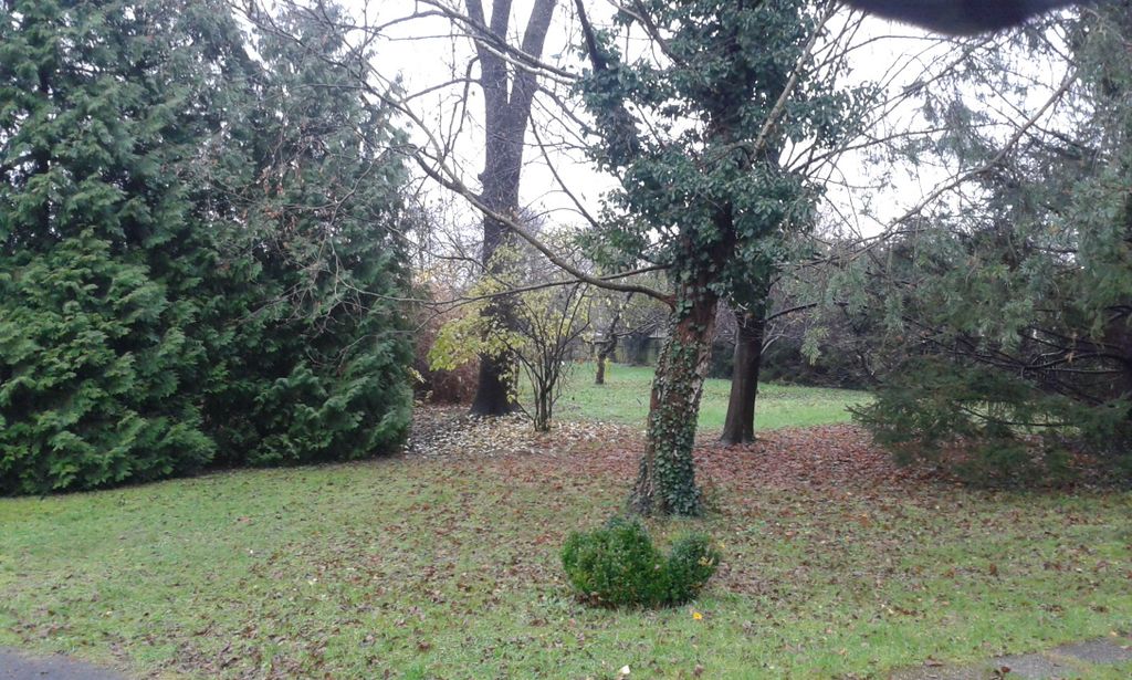 Datei:Straßengelstraße 38, Park.jpg